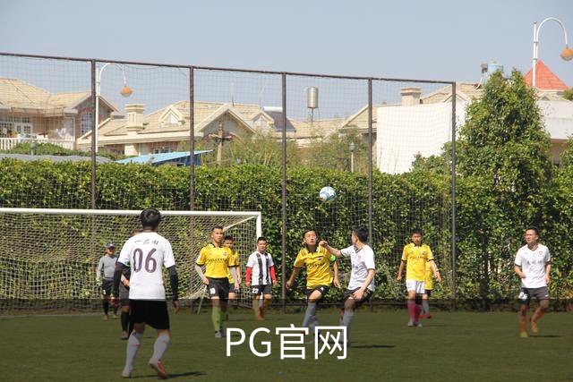 PG官网